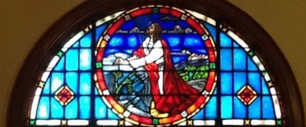 Slideshow Image 2